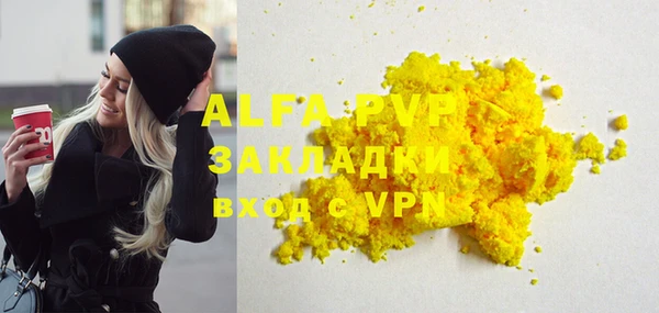 индика Верхний Тагил