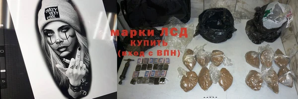 индика Верхний Тагил