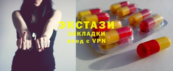 индика Верхний Тагил