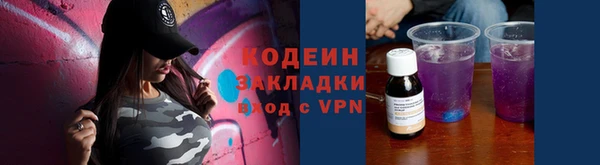 индика Верхний Тагил