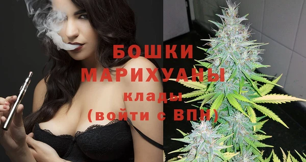 индика Верхний Тагил