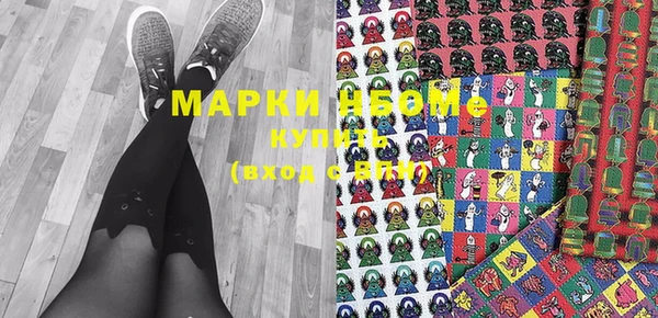 индика Верхний Тагил