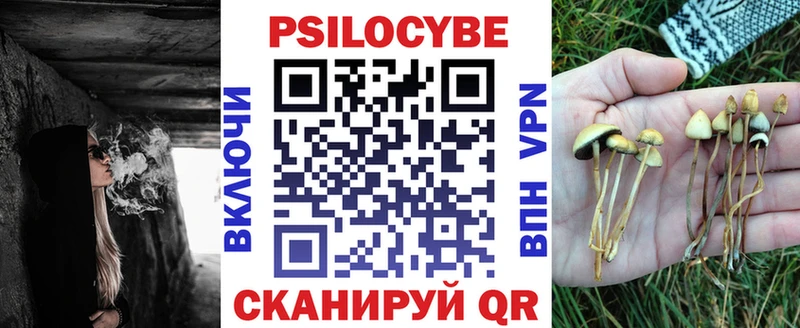 купить Лихославль Галлюциногенные грибы Psilocybine cubensis